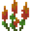 Small Red Lupine