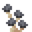 Gray Shimmering Mushroom