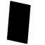 Obsidian Skull Shield
