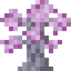 Dusk Sapling
