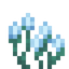 Spirit Bloom