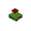Floating Petrunia