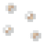 Snail Eggs