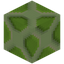 Zoea Variant 3