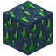 Diopside Ore