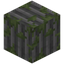 Mossy Stone Bricks Pillar