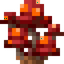 Crimson Fungus Colony