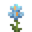 Blue Iris