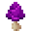 Purple Shimmering Mushroom