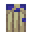 Blue Mushroom Door