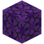 Paved Purple Glazed Terracotta