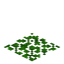 Acacia Leaf Carpet