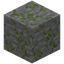 Eroded Mossy Stone Bricks