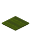 Rectangle Green Carpet