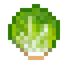 Lettuce