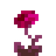 Red Velvetumoss Flower