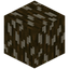 Paperbark Fruit Log