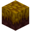 Mycotoxic Moss