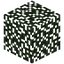 Fir Leaves