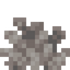 Dead Bubble Coral