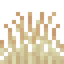 Sandy Grass