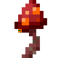Bulbed Crimson Fungus