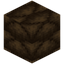 Palm Wood