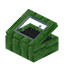 Gray Green Bioshroom Display Case