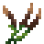 Cattail Sprout