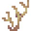 Golden Coral