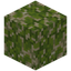Kelp Sand