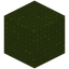 Knitted Green Wool