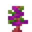 Jaded Amaranthus