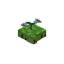 Floating White Flower