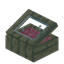 Pink Echo Display Case
