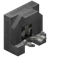 Necrotic Focus