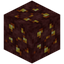 Nether Gold Ore