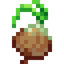 Onion