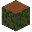 Overgrown Acacia Log
