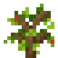 Orchard Sapling