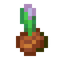Mint Sprout