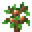 Peach Sapling