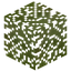 Wild Cherry Leaves