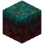 Warped Nylium