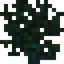 Shrub