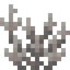 Dead Anchor Coral