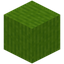 Barky Lime Wool