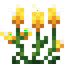 Lollipop Flower