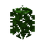 Oak Hedge