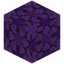 Paved Purple Glazed Terracotta